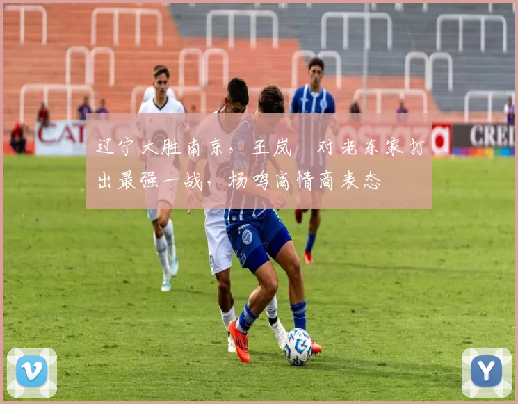 辽宁大胜南京,王岚嵚对老东家打出最强一战,杨鸣高情商表态