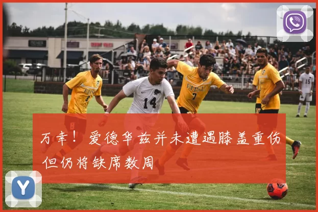 万幸！爱德华兹并未遭遇膝盖重伤 但仍将缺席数周