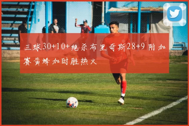 三球30+10+绝杀布里奇斯28+9 附加赛黄蜂加时胜热火