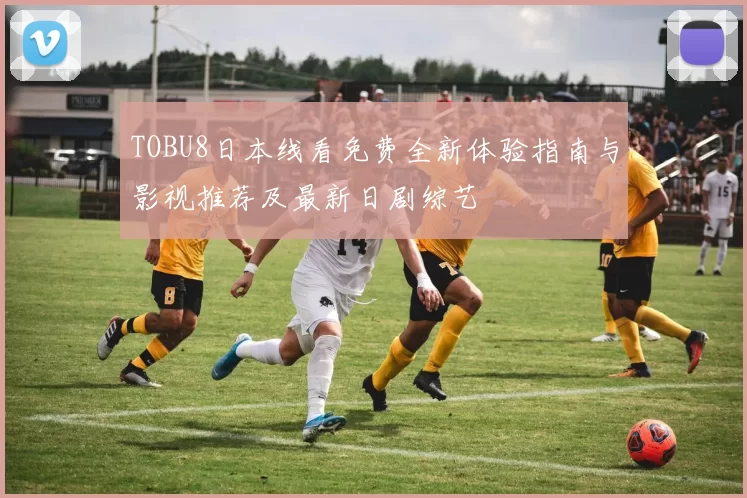 TOBU8日本线看免费全新体验指南与影视推荐及最新日剧综艺
