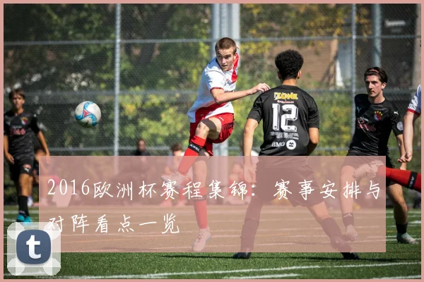 2016欧洲杯赛程集锦:赛事安排与对阵看点一览