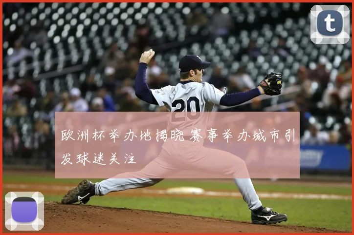 欧洲杯举办地揭晓 赛事举办城市引发球迷关注