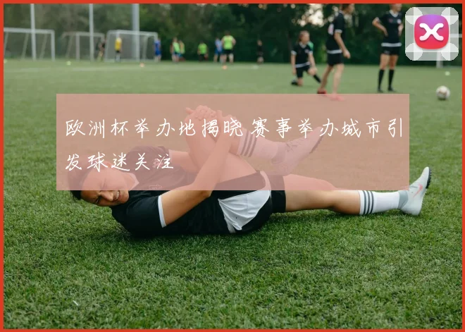 欧洲杯举办地揭晓 赛事举办城市引发球迷关注